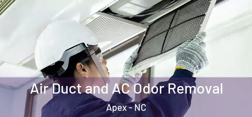 Air Duct and AC Odor Removal Apex - NC