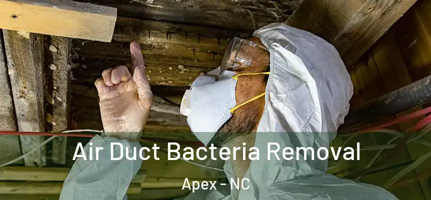 Air Duct Bacteria Removal Apex - NC