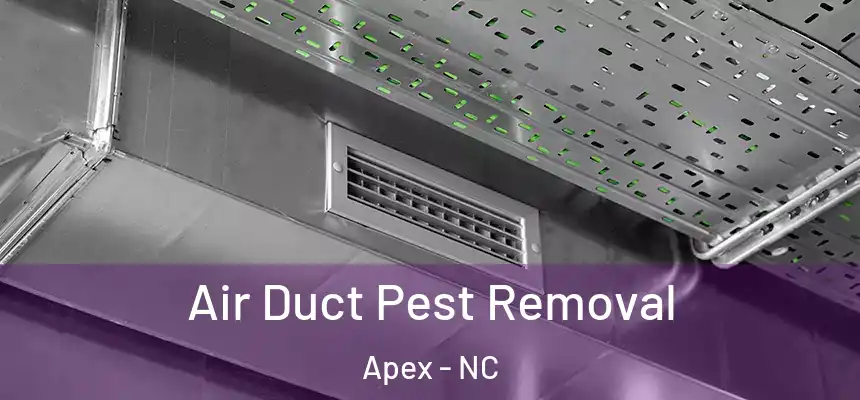 Air Duct Pest Removal Apex - NC