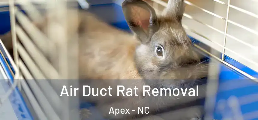 Air Duct Rat Removal Apex - NC