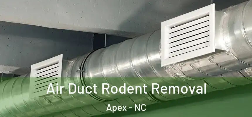  Air Duct Rodent Removal Apex - NC