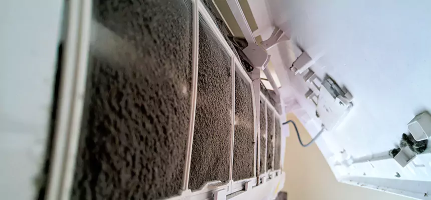 Preventive Air Duct Bacteria Removal in Apex