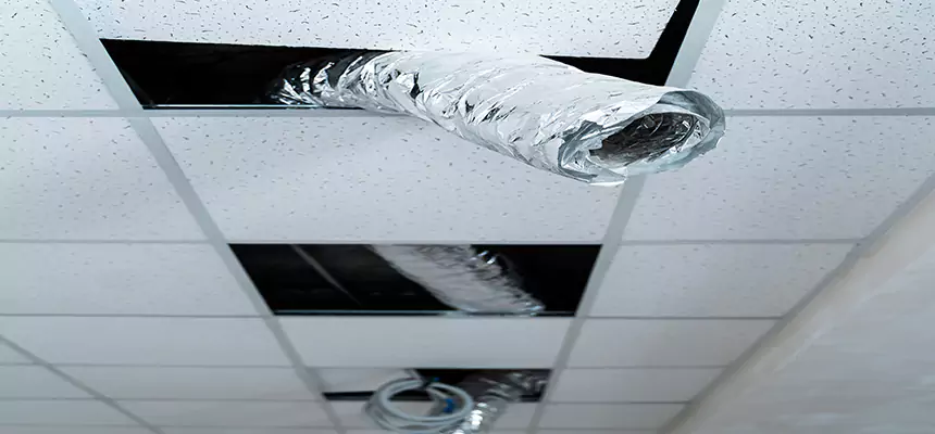 Affordable HVAC Sanitizing After Pest Removal in Apex