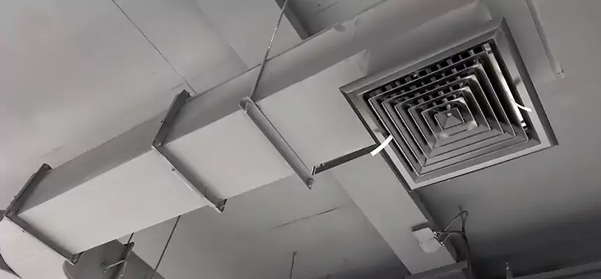 Restorative Allergy Relief Vent Cleaning – Coil, Blower & Housing Detail in Apex