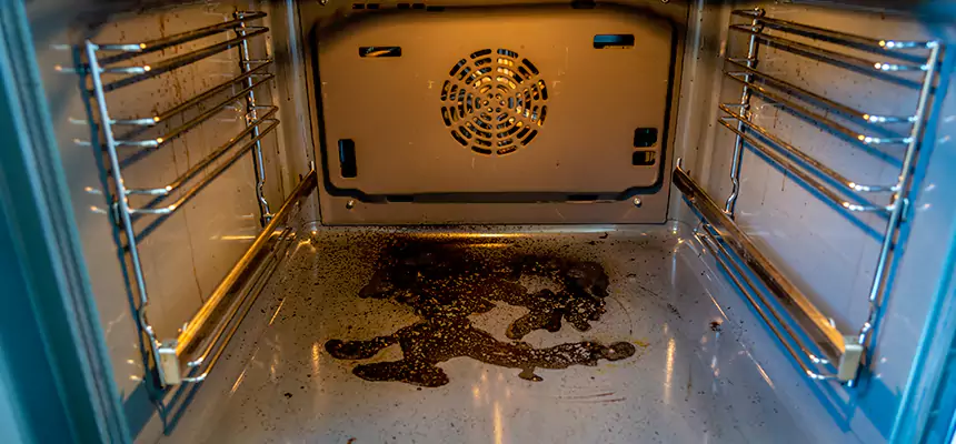 Our Dryer Vent Mold Cleaning Services in Apex, NC