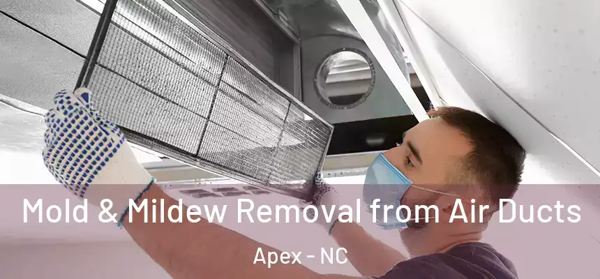  Mold & Mildew Removal from Air Ducts Apex - NC