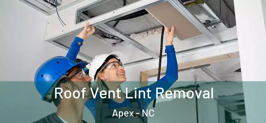  Roof Vent Lint Removal Apex - NC
