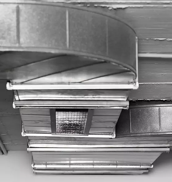 Professional Air Duct Pest Removal in Apex, NC