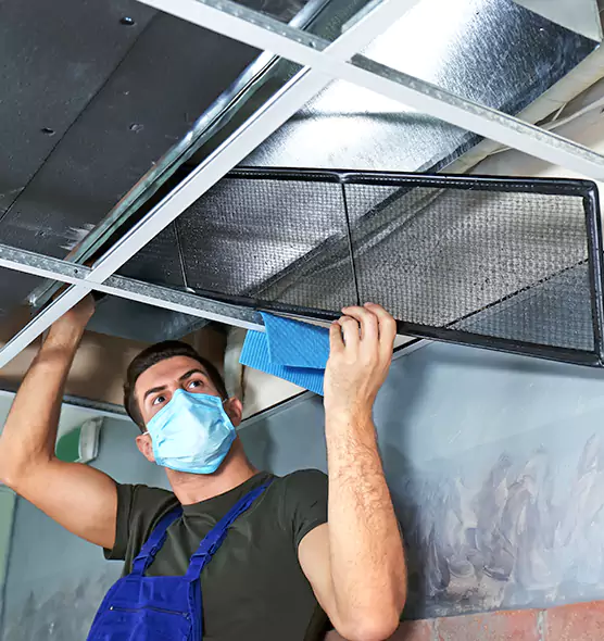 Professional Air Duct Pollen Cleaning in Apex, NC