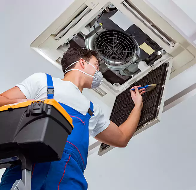 Why Homeowners & Businesses Trust Us in Apex, NC