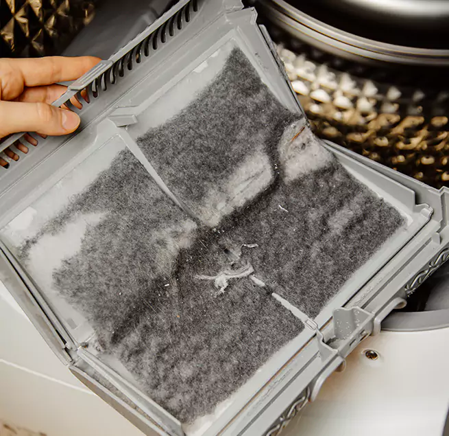 Why Homeowners & Businesses Trust Us Apex, NC?