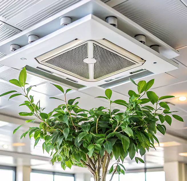 Why Homeowners & Businesses Trust Us in Apex, NC?