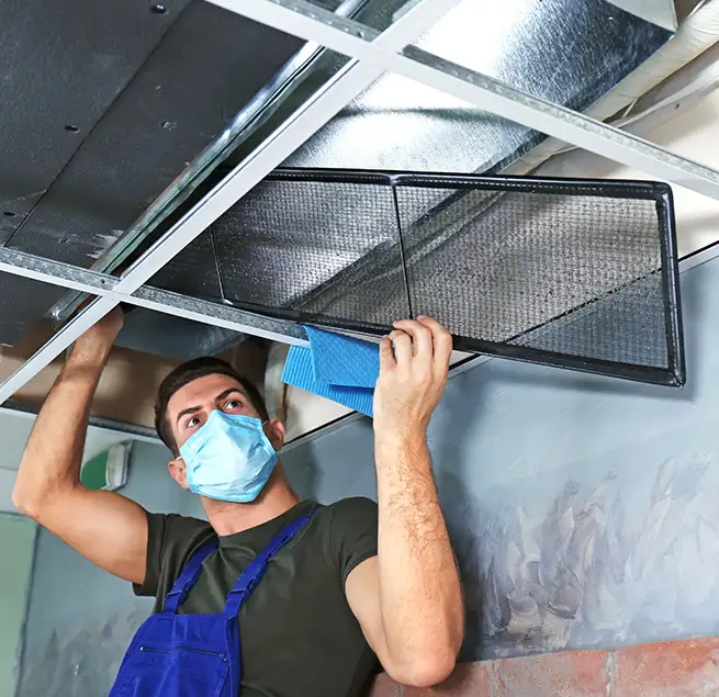 Why Homeowners & Businesses Trust Us in Apex, NC?