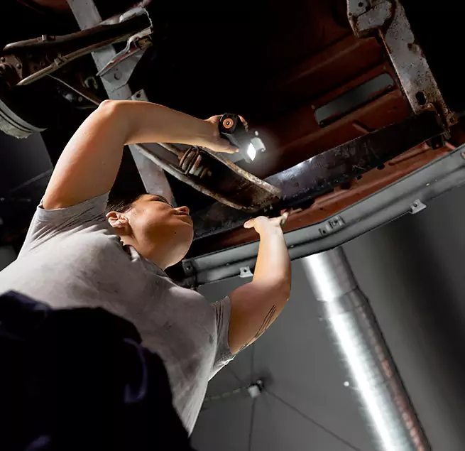 Why Homeowners & Businesses Trust Us Apex, NC