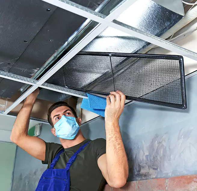 Why Homeowners & Businesses Trust Us in Apex, NC?